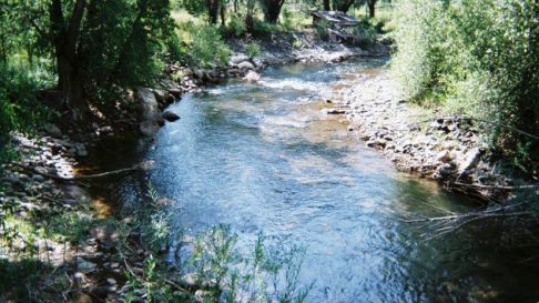 Alamosa River Thrives